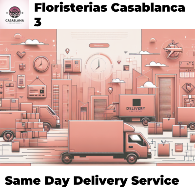 Same Day Delivery Service